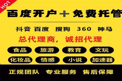 SEM搜索引擎优化：成功案例解析